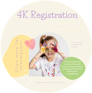 4K Registration Icon 